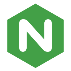 Nginx Proxy Manager