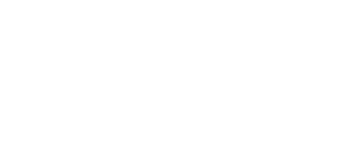Secure Check