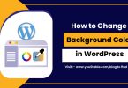 How to Change Background Color in WordPress