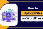 How to Upload Files on WordPress
