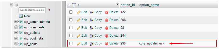 ‘core_updater.lock’,