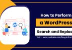 How to Perform a WordPress Search and Replace-01