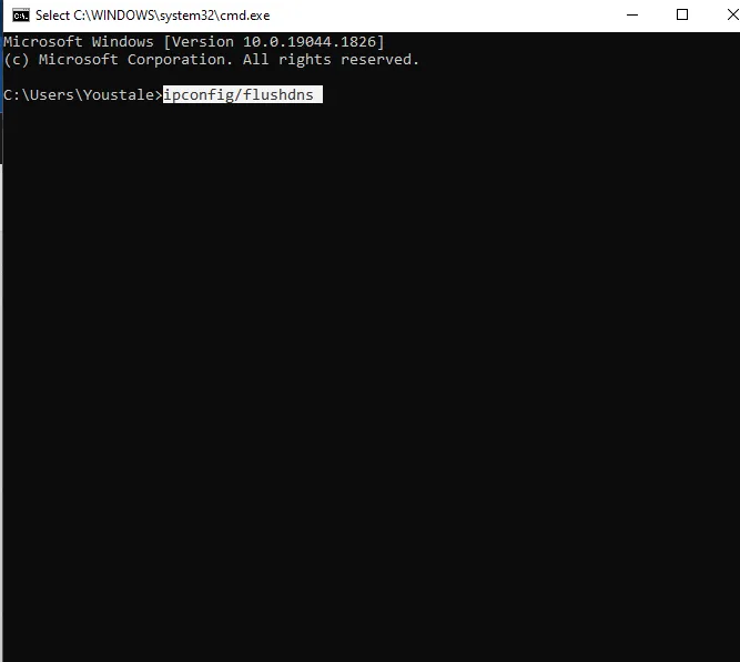 IPCONFIG / flushdns