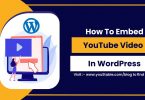 How To Embed YouTube Video In WordPress