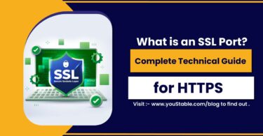 What is an SSL port