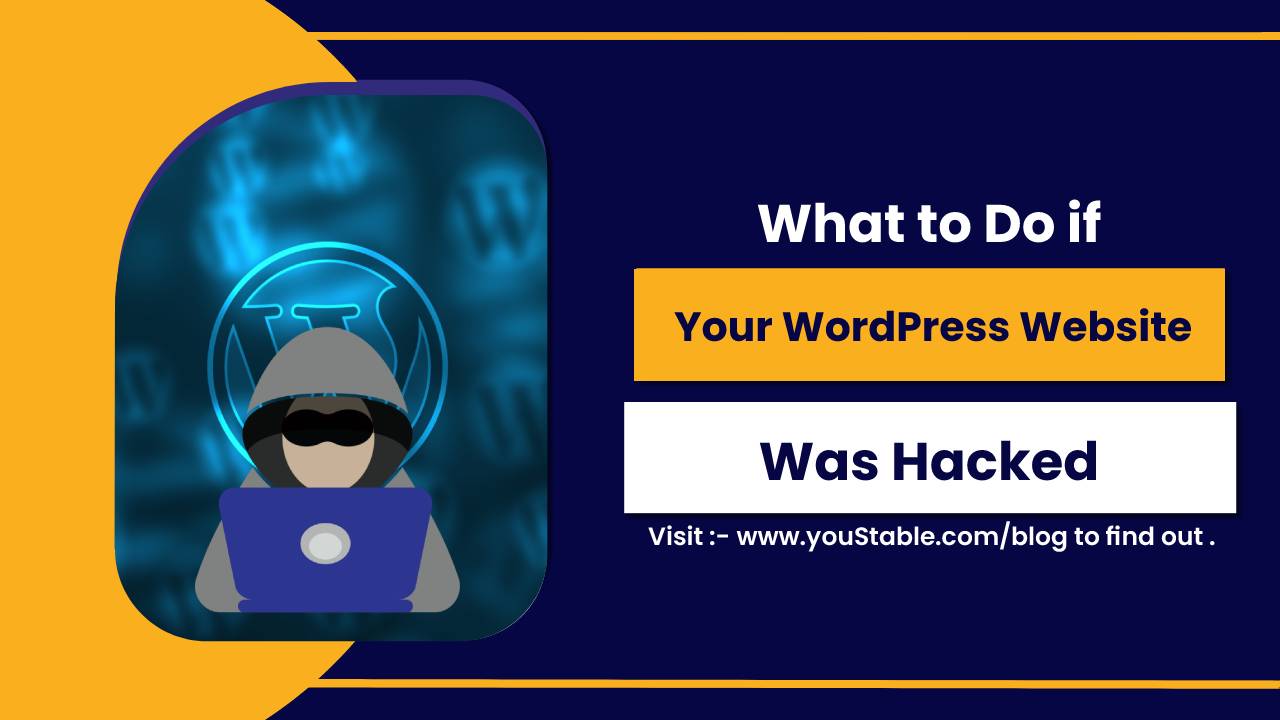 What to Do if Your WordPress Website Was Hacked?