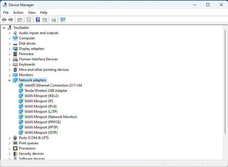 opening Device Manager, click on Network Adapters