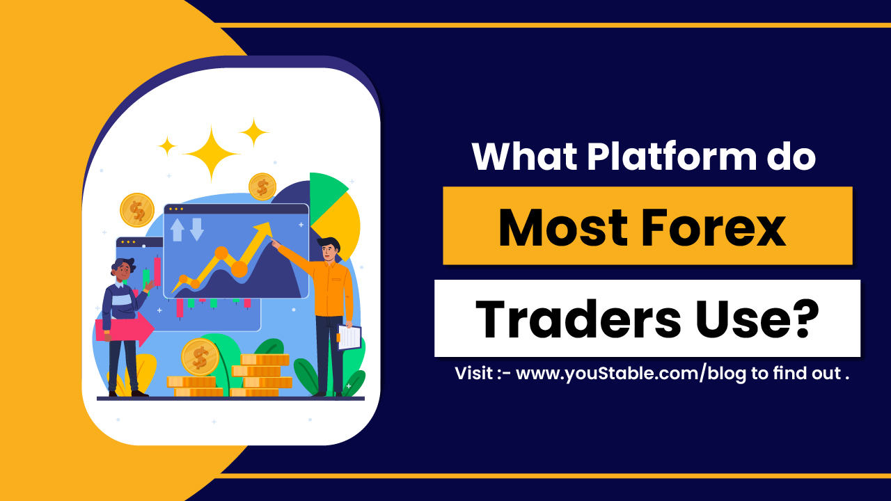 What Platform Do Most Forex Traders Use | Most Popular Trading Platforms
