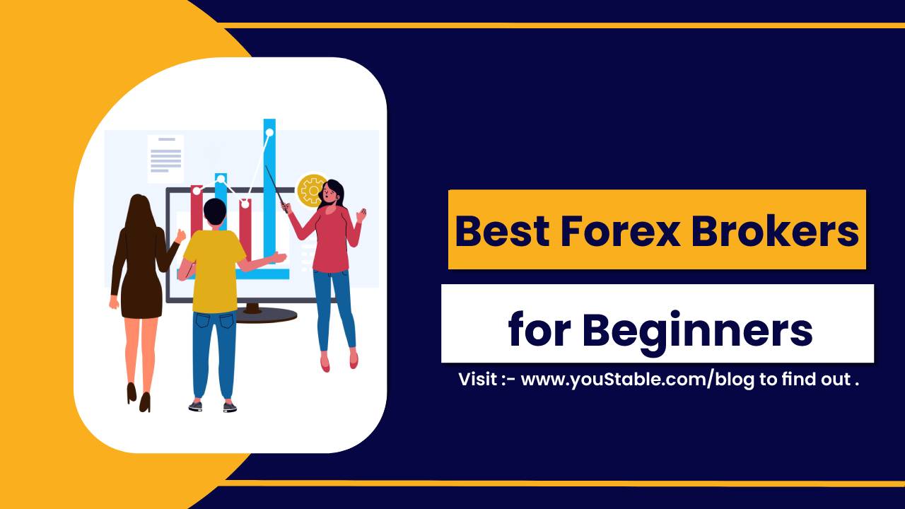 Best Forex Brokers for Beginners in 2024