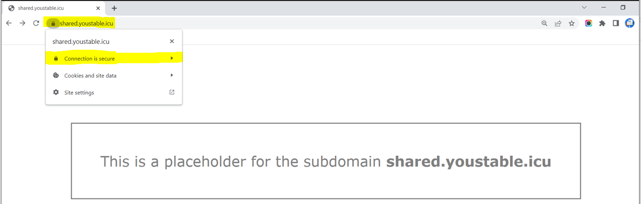 SSL certificate is installed on your subdomain