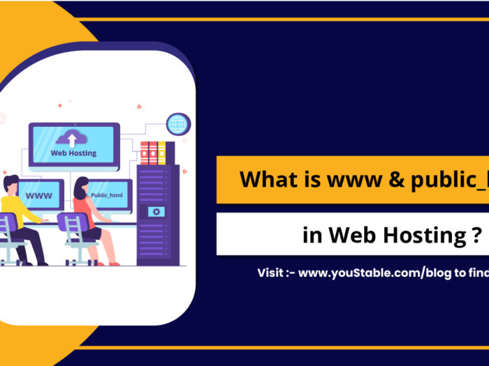 What is www and public_html in Web Hosting