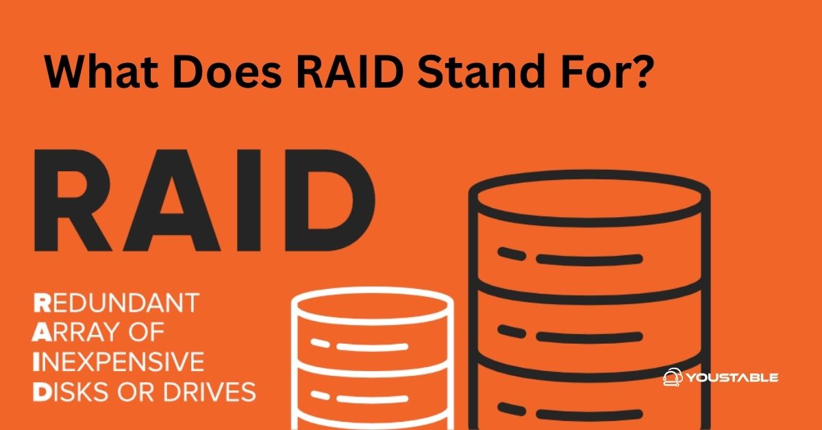 What Does RAID Stand For