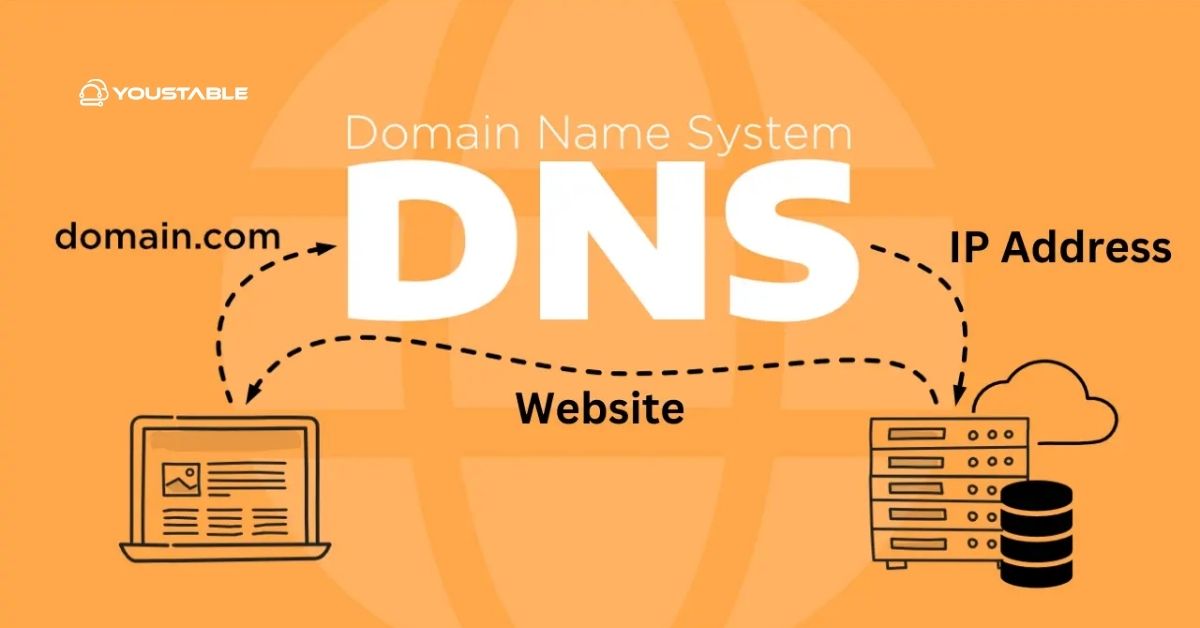 Understand DNS on Linux Server