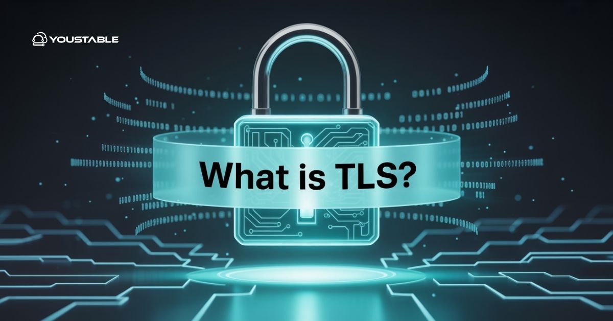 What Is TLS