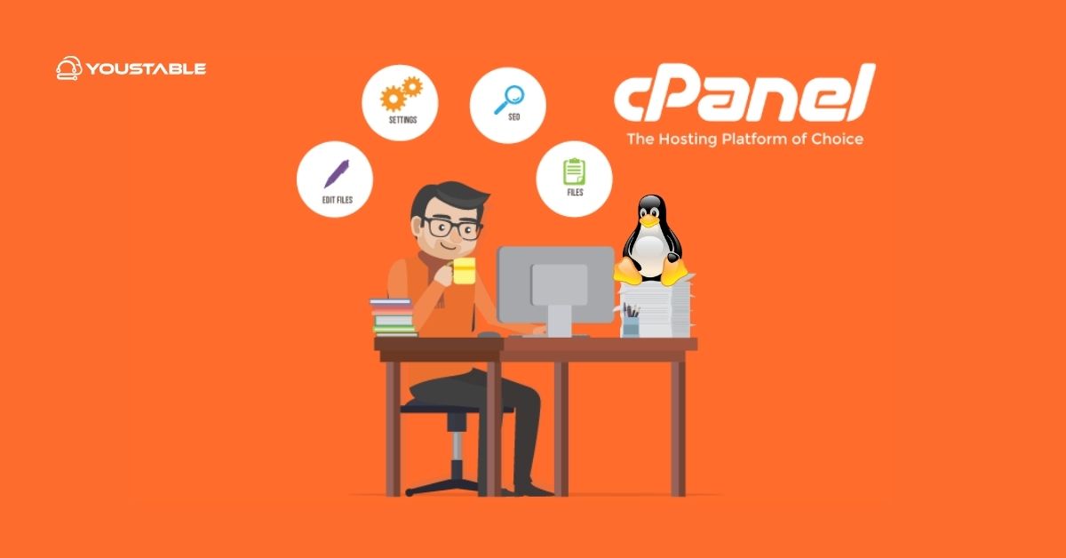 What is cPanel and Why Is It So Widely Used