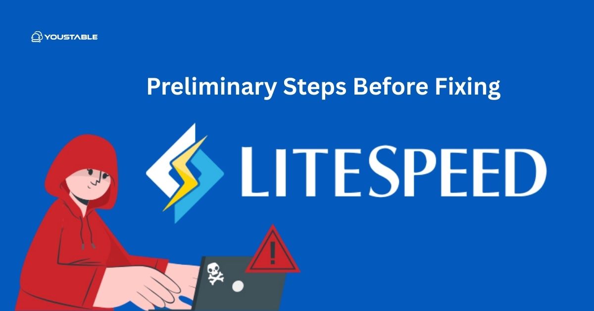 Preliminary Steps Before Fixing LiteSpeed