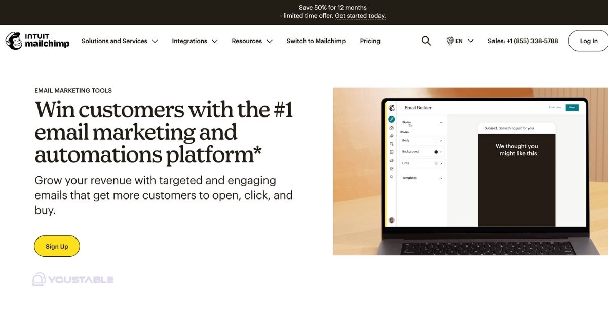 Mailchimp (Email Marketing Tool)