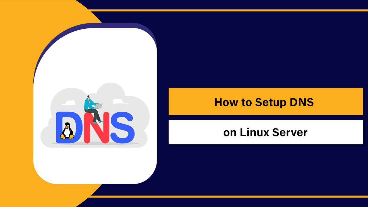 Setup DNS on Linux