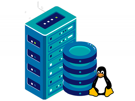 What is Linux Dedicated Server?