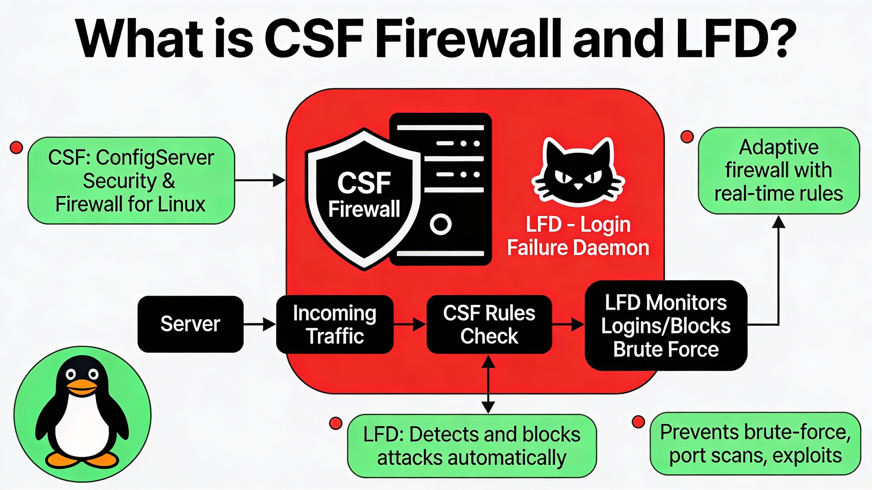 What is CSF Firewall and LFD?