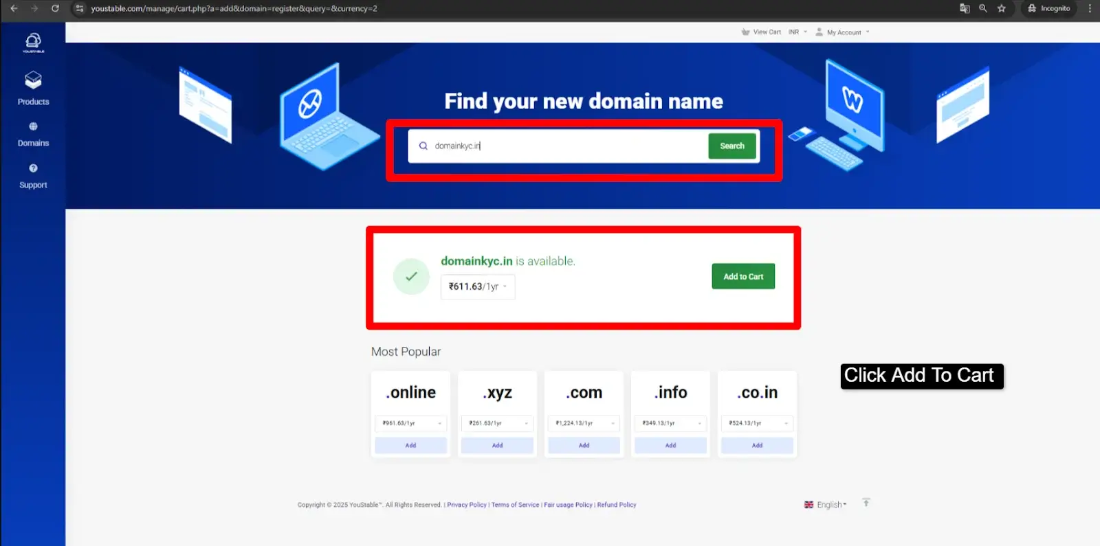 .in domain registration