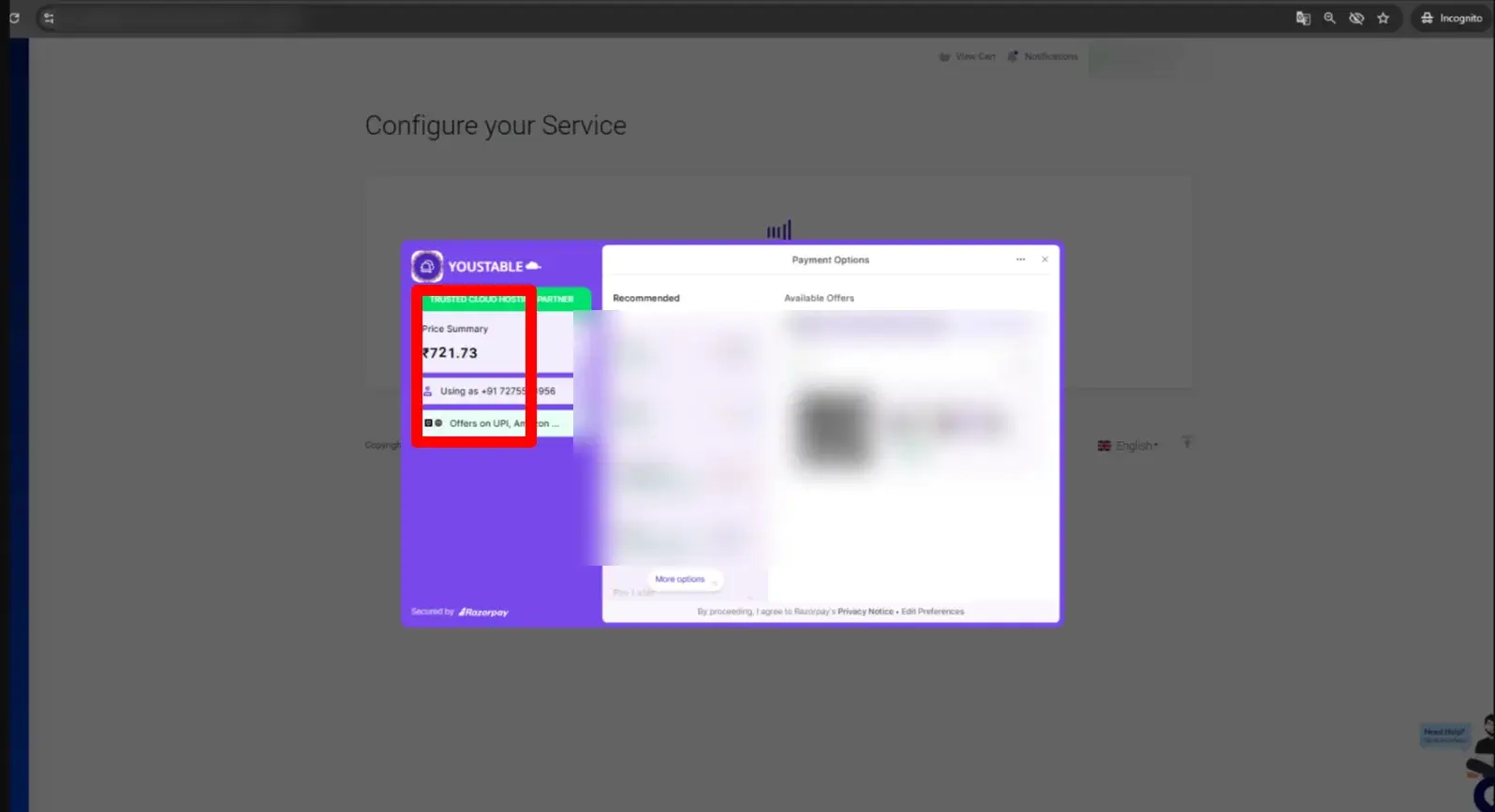 payment for the .in domain