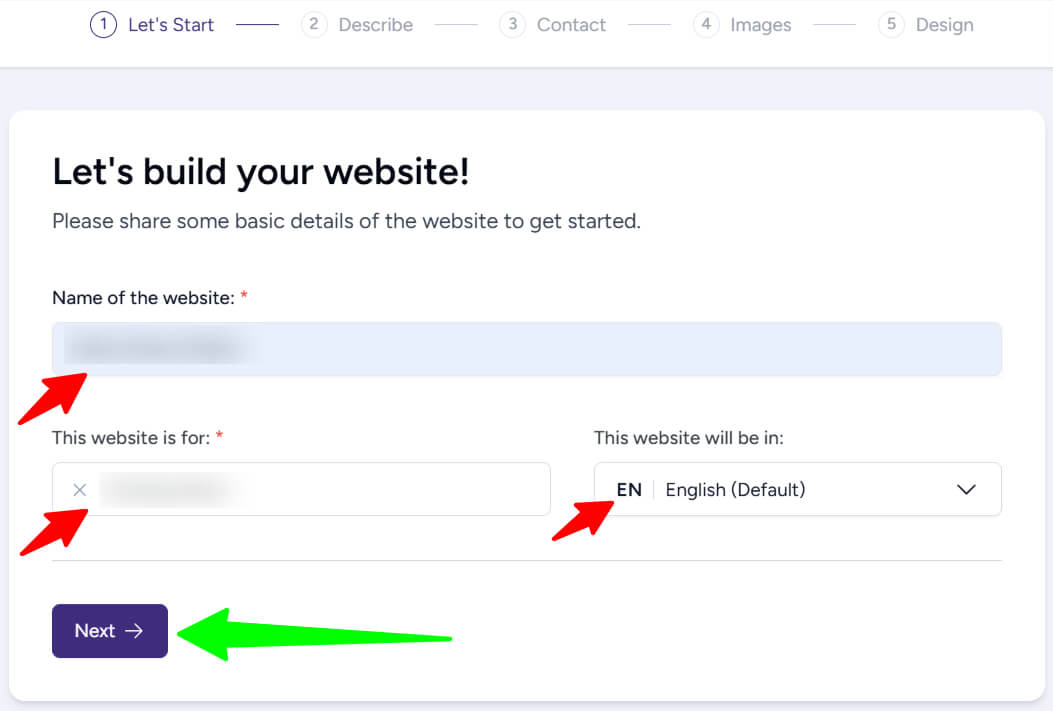 Enter Basic Website Details to Start AI Setup