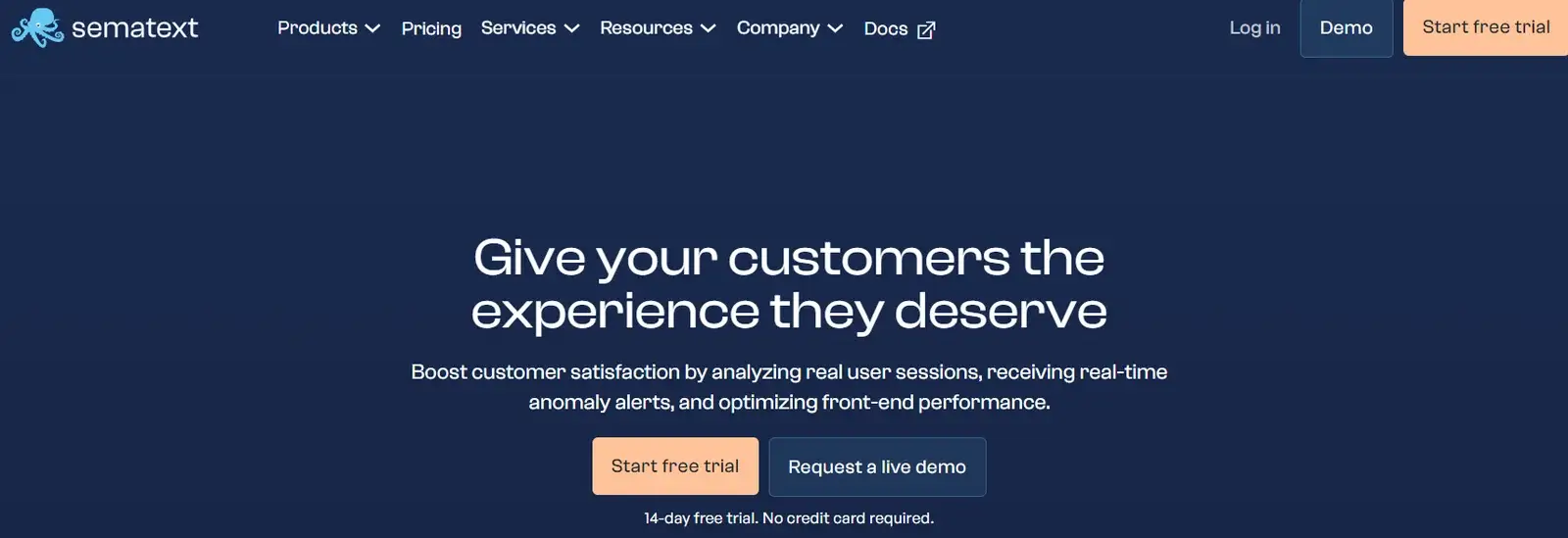 Sematext Experience