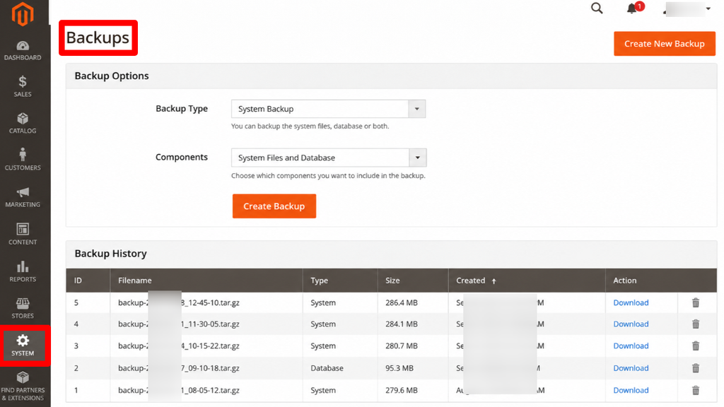 How to Migrate From Magento to WordPress in '2026': Step by Step Guide